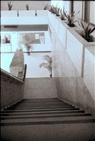 藏品(N/A)的圖片