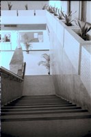 藏品(N/A)的圖片