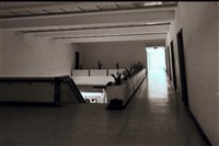 藏品(N/A)的圖片