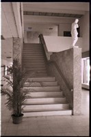 藏品(N/A)的圖片