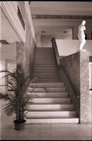 藏品(N/A)的圖片