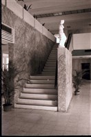 藏品(N/A)的圖片