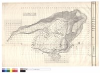 藏品(N/A)的圖片