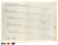 藏品(N/A)的圖片