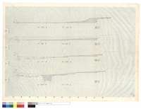 藏品(N/A)的圖片