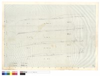 藏品(N/A)的圖片