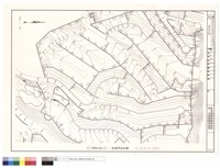 藏品(雜照地形圖)的圖片