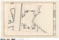 藏品(N/A)的圖片