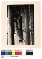 藏品(外觀)的圖片