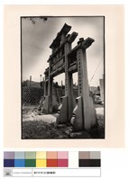 藏品(側觀)的圖片