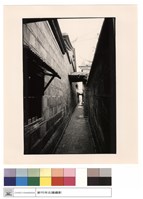 藏品(右迴廊)的圖片