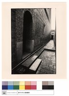 藏品(右迴廊)的圖片