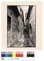 藏品(左側迴廊)的圖片