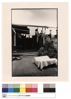 藏品(外觀)的圖片