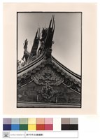 藏品(燕尾)的圖片