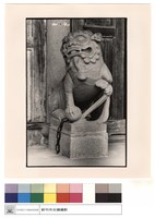 藏品(石獅)的圖片