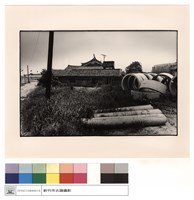 藏品(外觀)的圖片