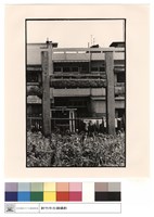 藏品(全景)的圖片