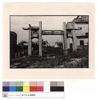 藏品(全景)的圖片