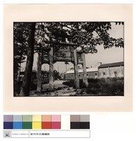 藏品(全景)的圖片