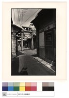 藏品(全景)的圖片