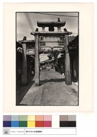 藏品(全景)的圖片