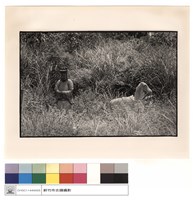 藏品(石刻)的圖片