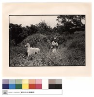 藏品(石刻)的圖片