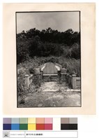 藏品(石刻)的圖片