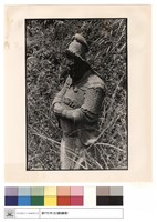 藏品(石刻)的圖片