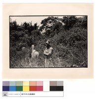 藏品(石刻)的圖片