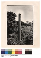 藏品(全景)的圖片