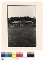 藏品(外觀)的圖片