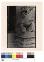 藏品(廟前石獅)的圖片