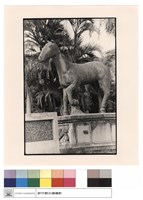 藏品(外觀)的圖片