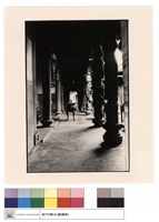 藏品(右廂觀左)的圖片