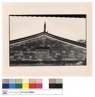 藏品(大殿燕尾)的圖片