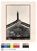 藏品(燕尾)的圖片