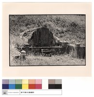 藏品(正面)的圖片