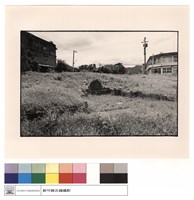 藏品(正面)的圖片