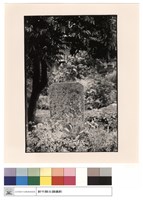 藏品(墓碑)的圖片