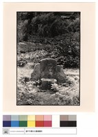 藏品(后土)的圖片