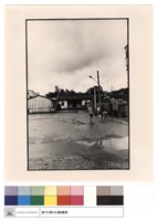 藏品(外觀)的圖片