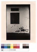 藏品(右窗)的圖片