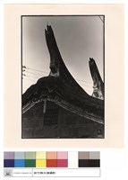 藏品(右廂馬背)的圖片