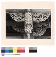 藏品(雀提)的圖片