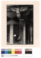 藏品(雀提)的圖片