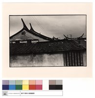 藏品(右燕尾)的圖片