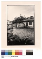 藏品(庭院)的圖片