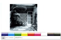 藏品((無圖名))的圖片
